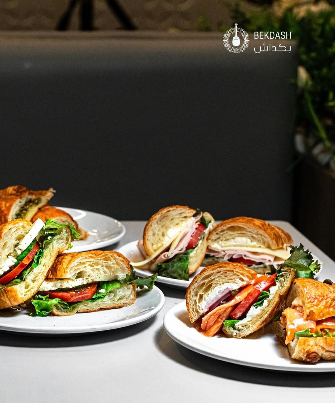 Croissants and Coffee in Temple Terrace